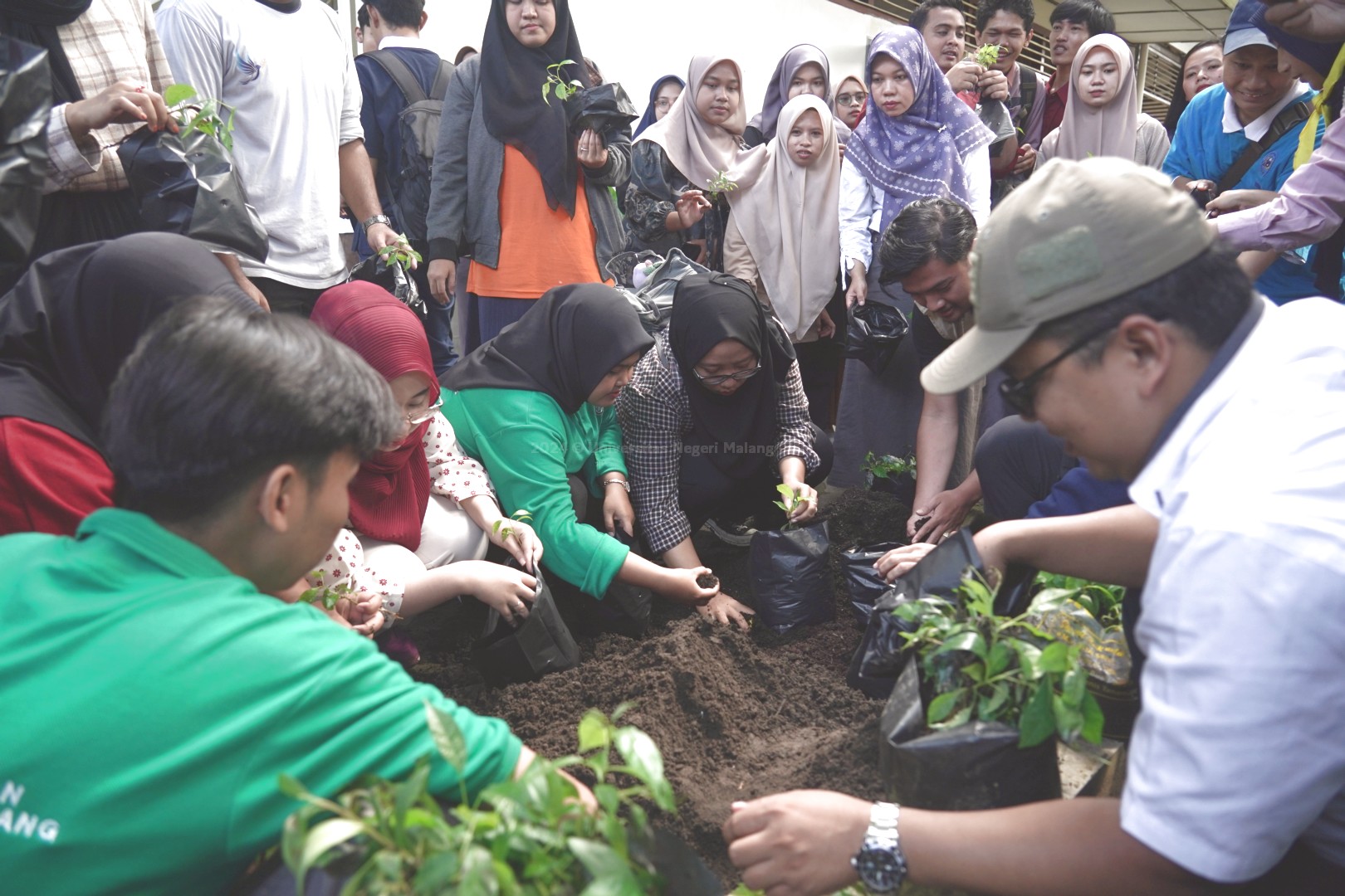 GALERI UM Tanam Ribuan Pohon Untuk Peringati Hari Bumi 2024