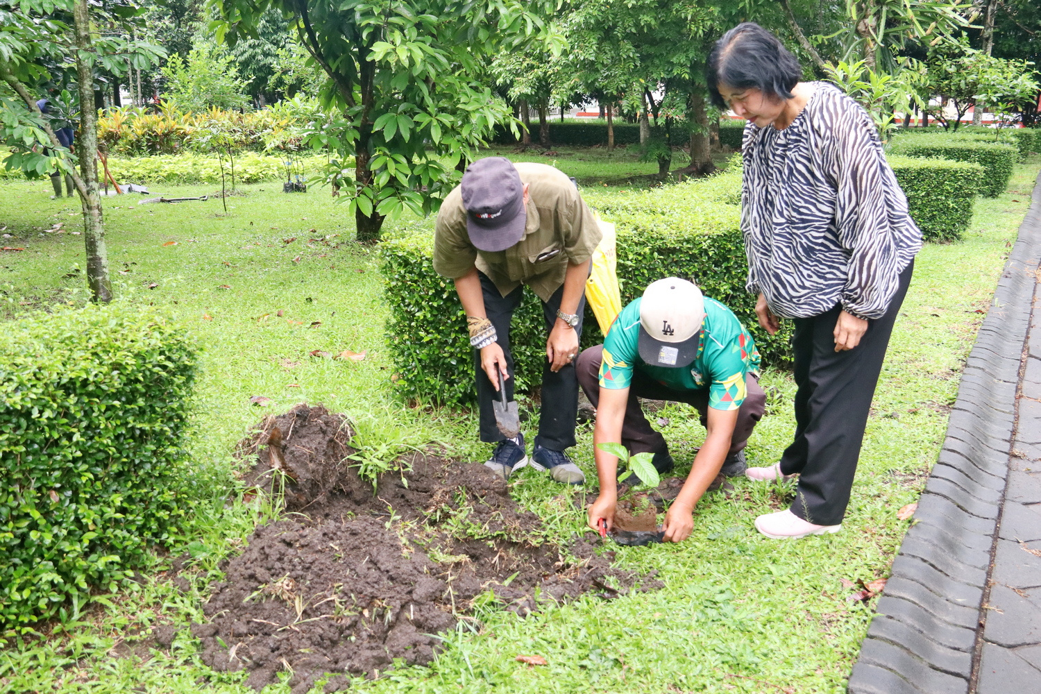 Tanam Pohon Langka, UM Bangun Ketahanan Lingkungan dan Pangan