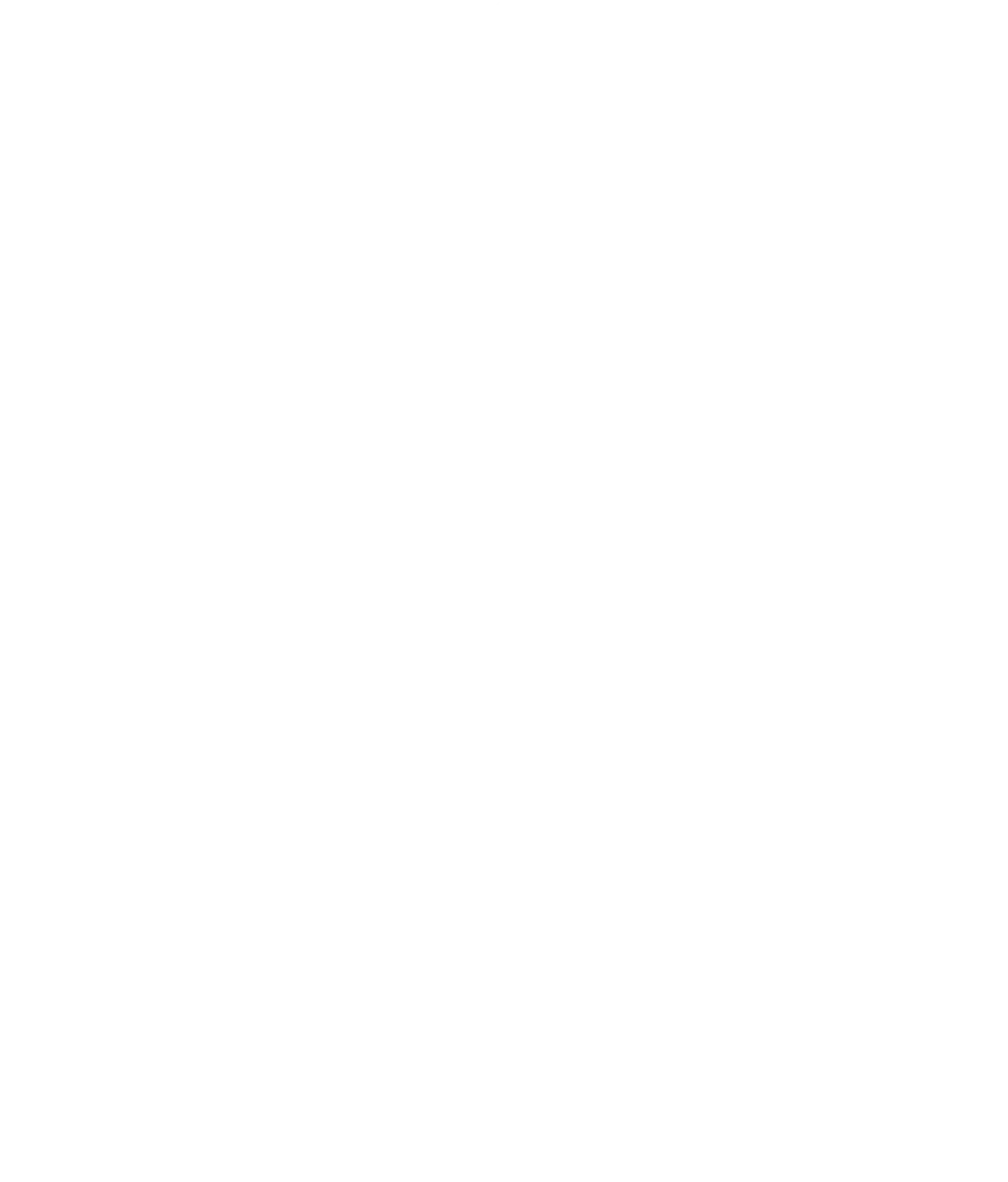 Undip